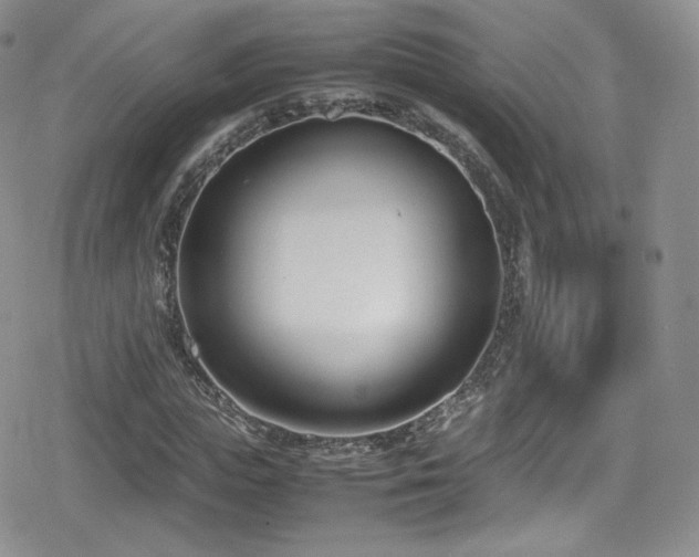 X0000080170823200612081358