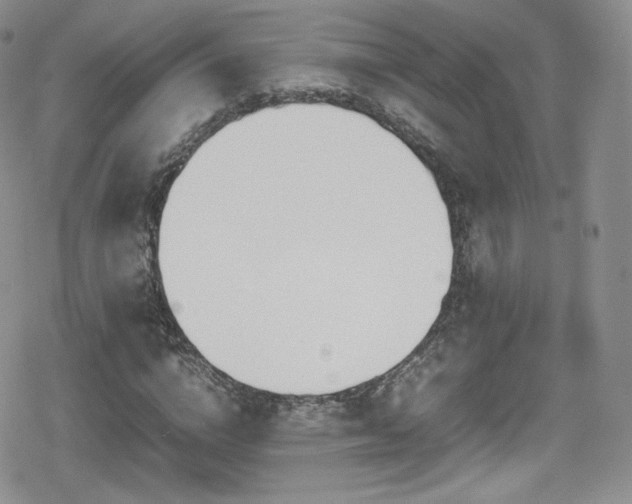 X0000080170824200612081358