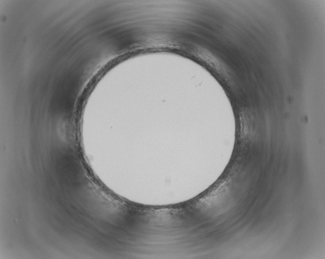X0000080170828200612081358