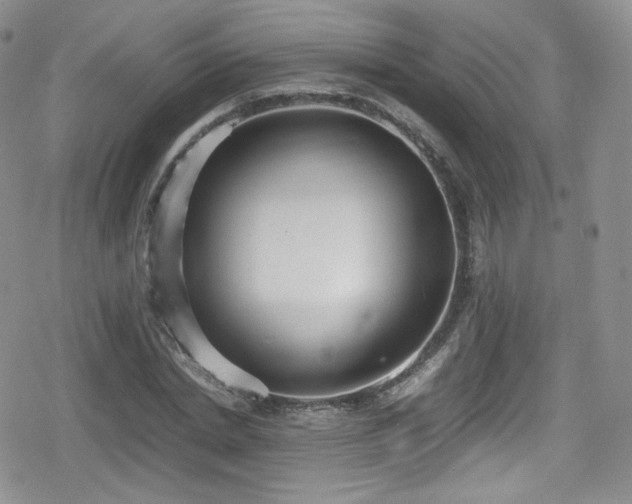 X0000080170830200612081358