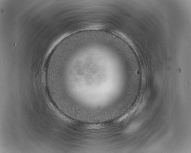 X0000080170835200612081358