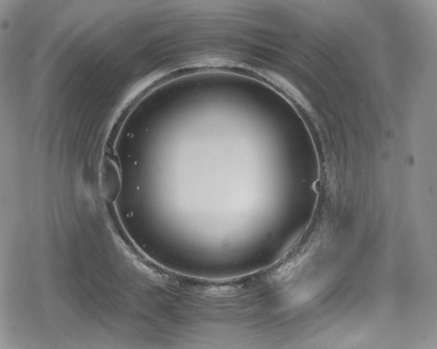 X0000080170839200612081358