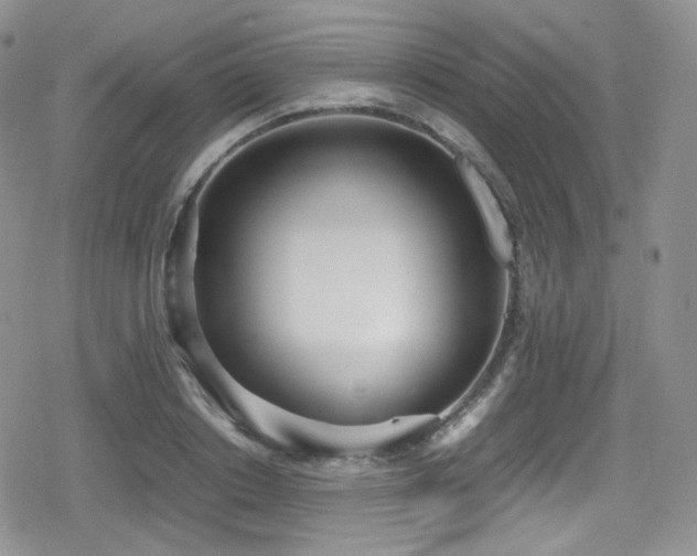 X0000080170842200612081358