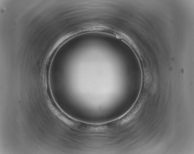 X0000080170843200612081358