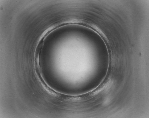 X0000080170845200612081358