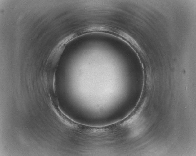 X0000080170849200612081358