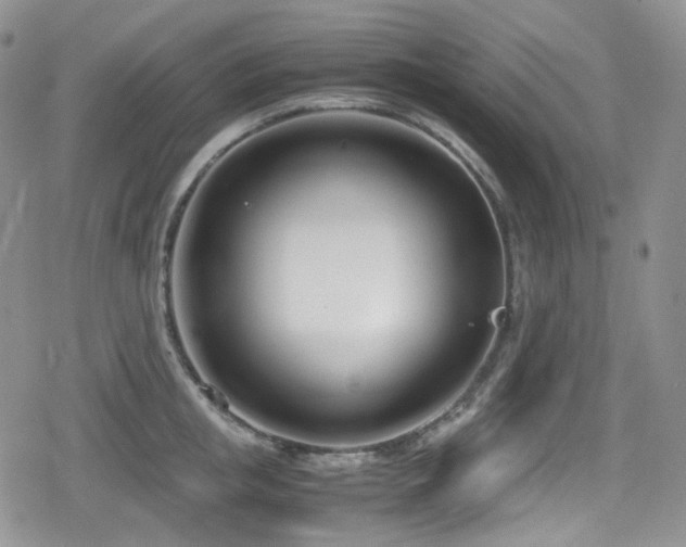 X0000080170853200612081359