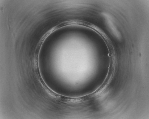 X0000080170857200612081359