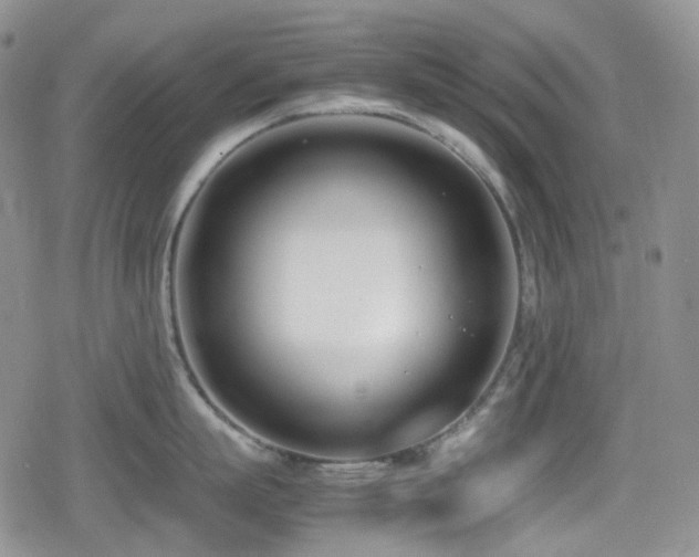 X0000080170863200612081359