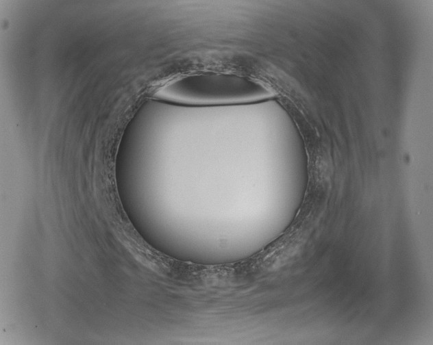 X0000080170865200612081358