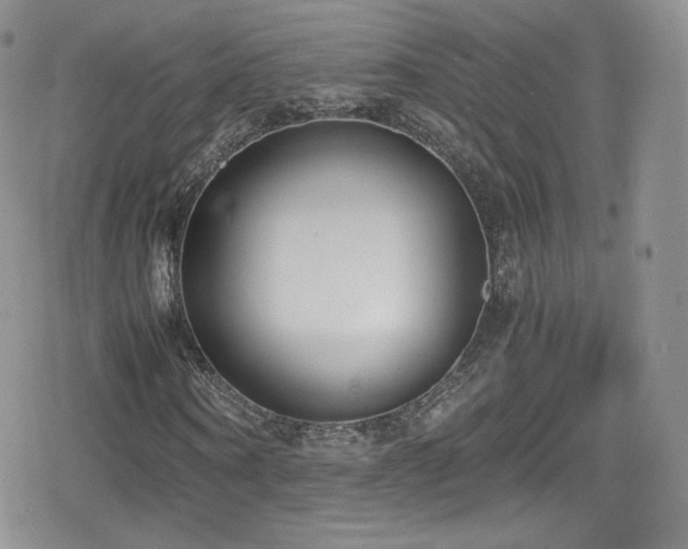 X0000080170866200612081358