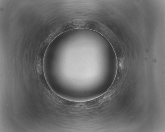 X0000080170867200612081358