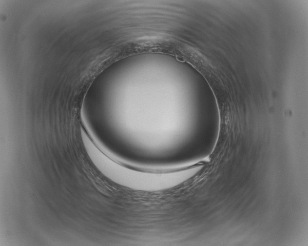 X0000080170868200612081358