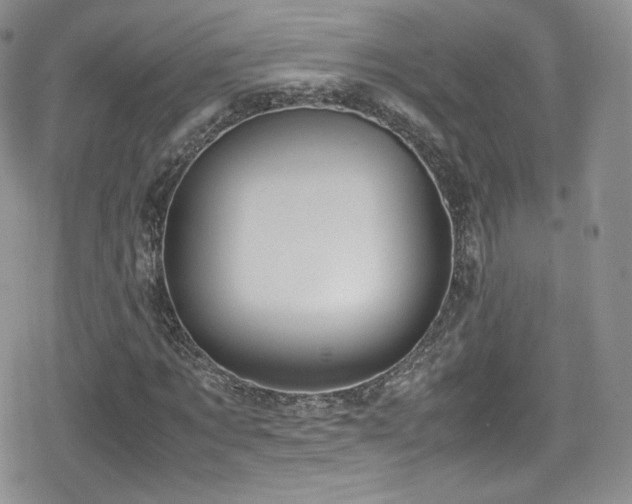 X0000080170869200612081358