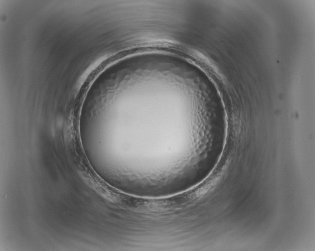 X0000080170875200612081358
