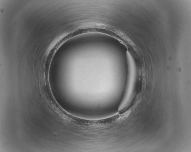 X0000080170877200612081358