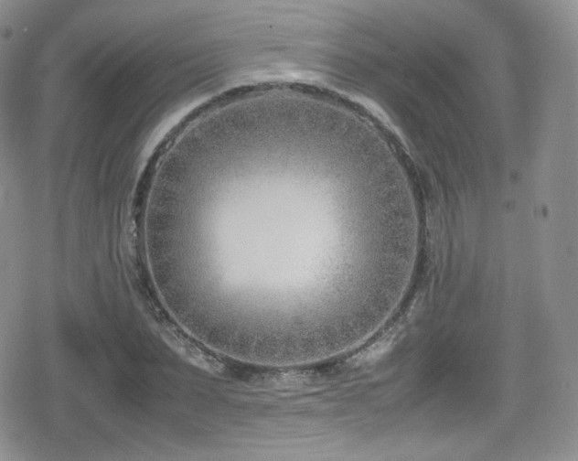 X0000080170879200612081358