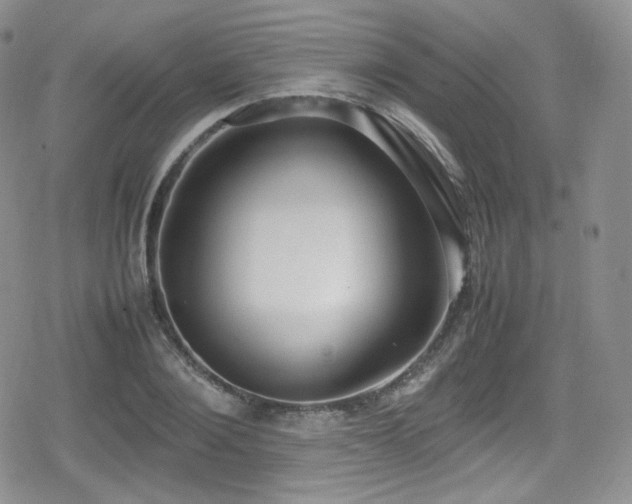 X0000080170884200612081358