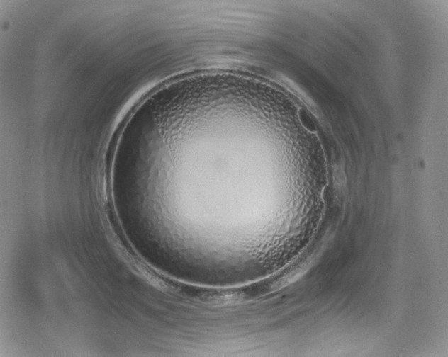 X0000080170891200612081357