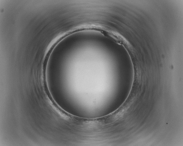 X0000080170894200612081357