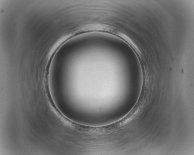 X0000080170901200612081357