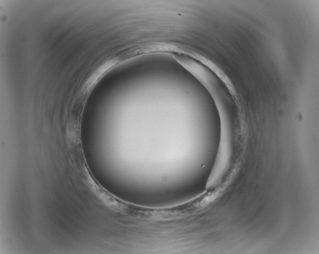 X0000080170905200612081357