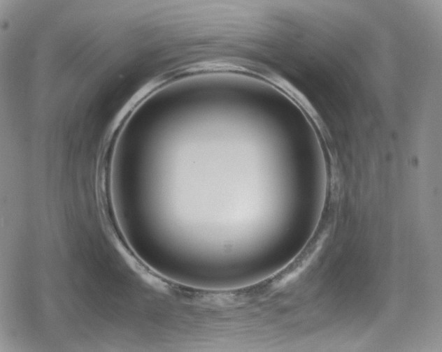 X0000080170909200612081357