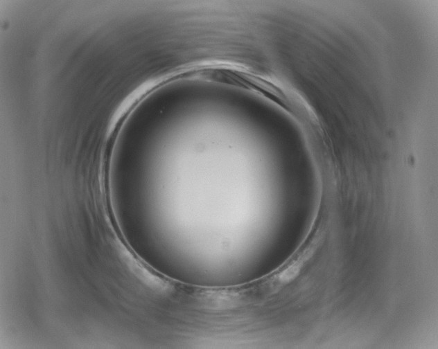 X0000080170910200612081357