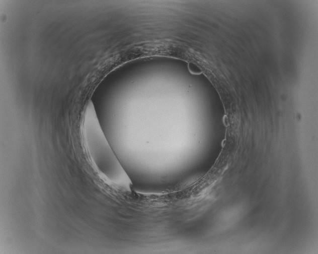 X0000080170913200612081356