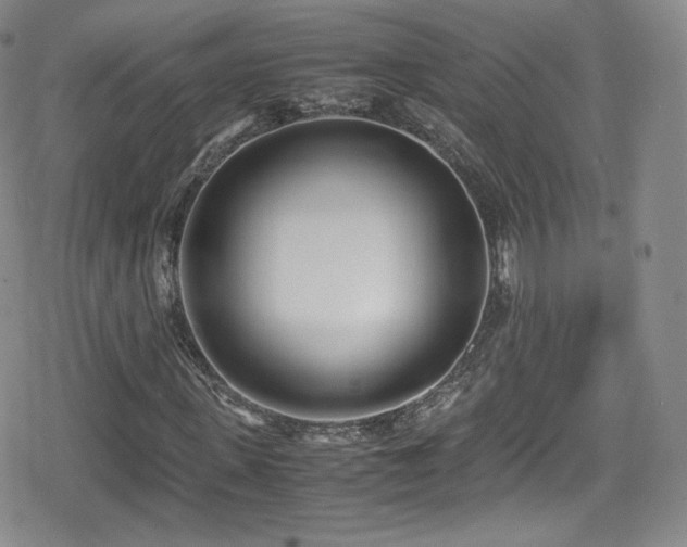 X0000080170915200612081356