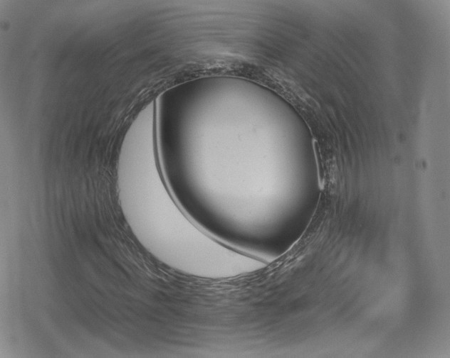 X0000080170916200612081356