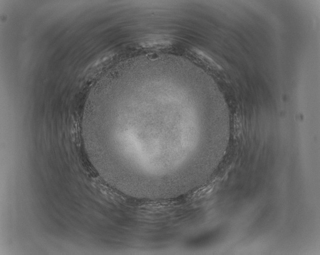 X0000080170917200612081356