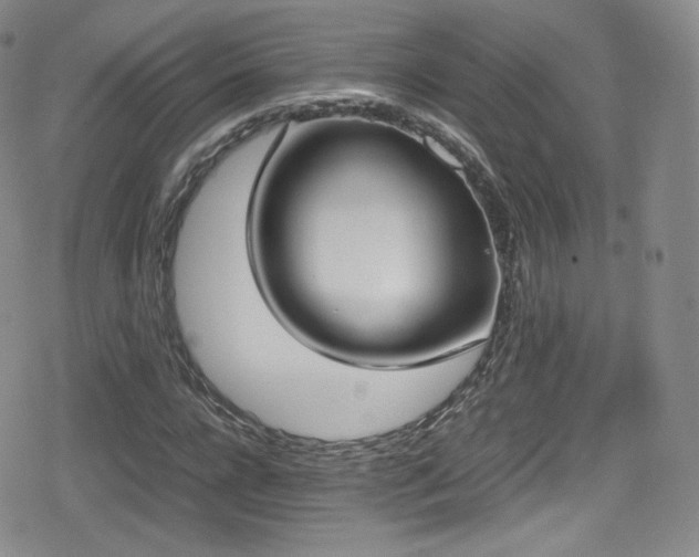 X0000080170920200612081356