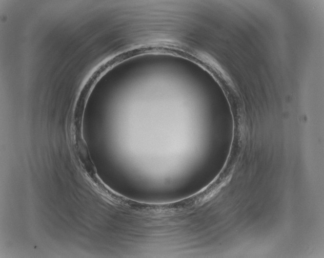 X0000080170924200612081357