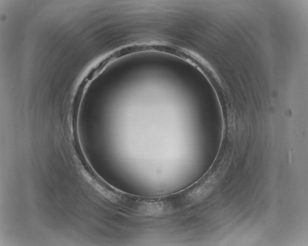 X0000080170935200612081357