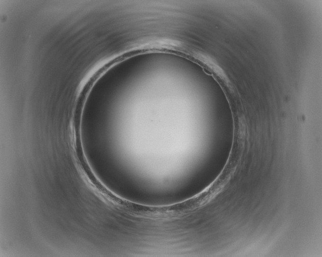X0000080170936200612081357