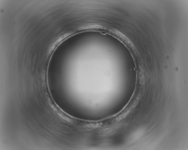 X0000080170937200612081357