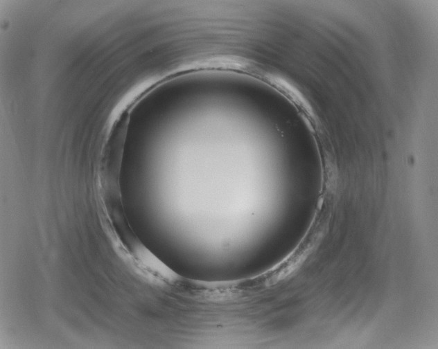 X0000080170952200612081357