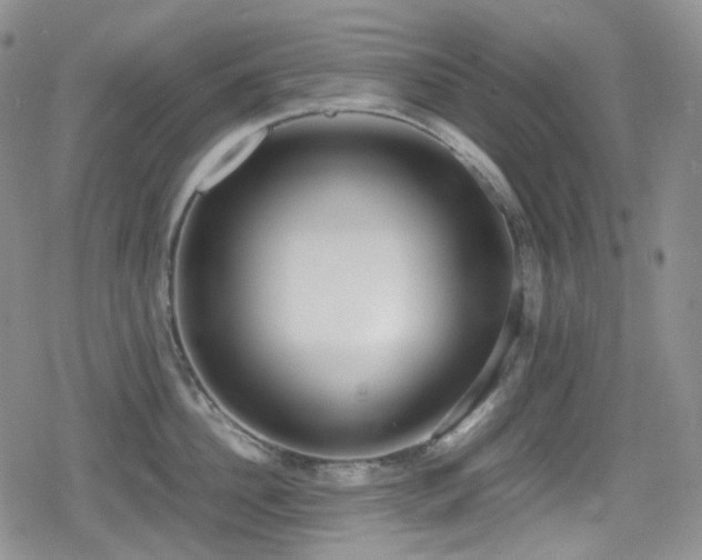 X0000080170956200612081357