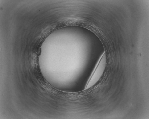 X0000080170964200612081356