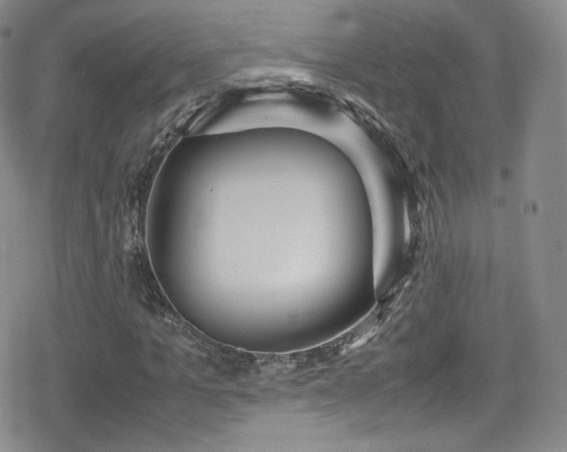 X0000080170965200612081356