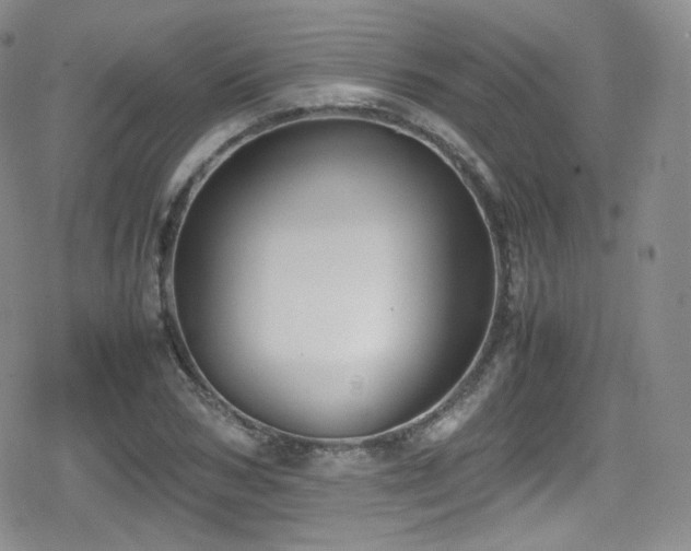 X0000080170978200612081356