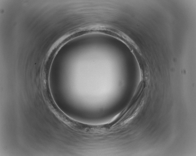 X0000080170981200612081356