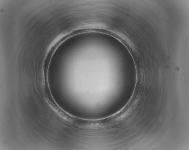 X0000080170982200612081356