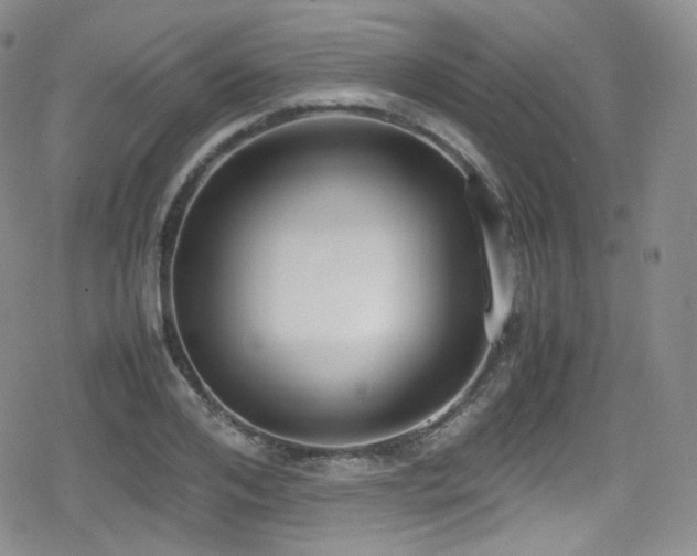 X0000080170984200612081356