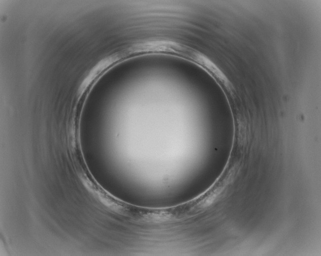 X0000080170994200612081356