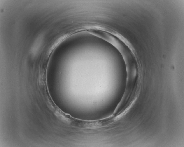 X0000080171001200612081356