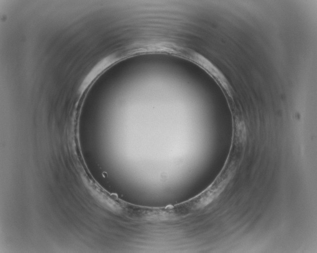 X0000080171002200612081356
