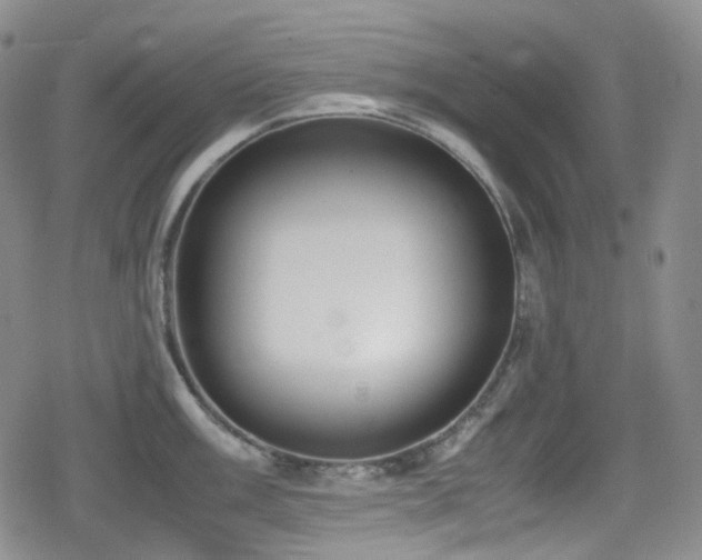 X0000080171003200612081356