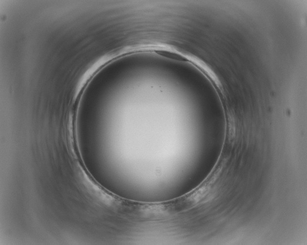 X0000080171006200612081356